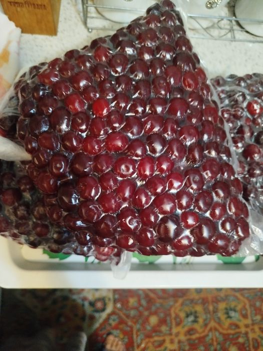 Шпанка  замороженные музлатилган продаю