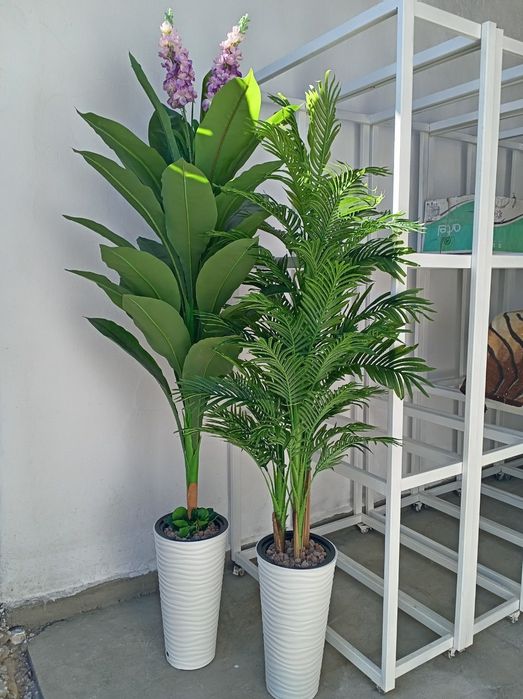 Нархлари 160 мингдан бошлаб. Декоратив суний гуллар. Ассортимент мавжу