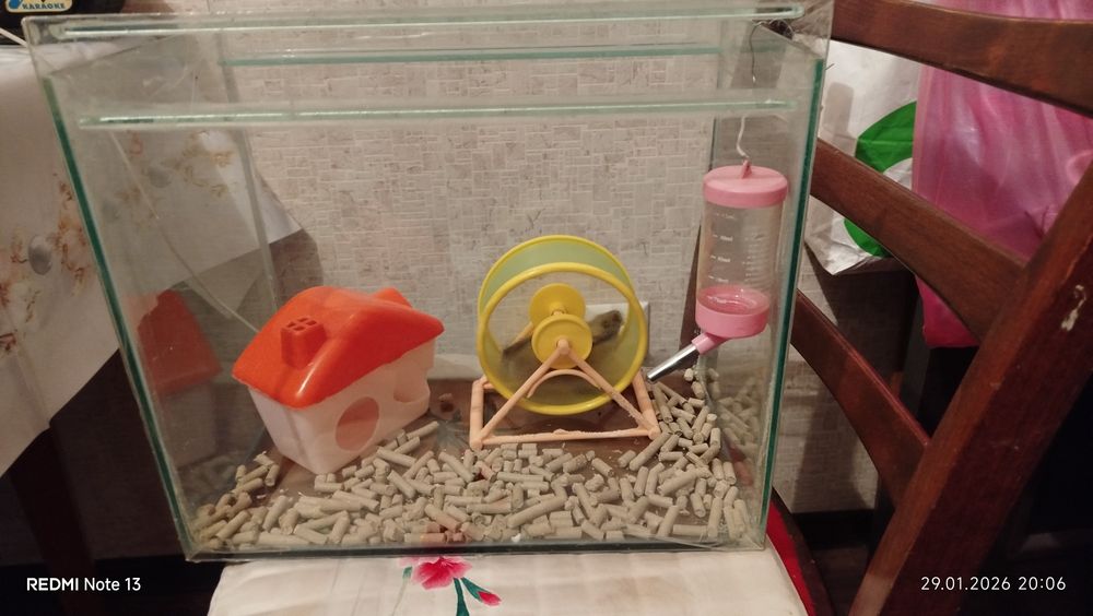 Набор для хомячков