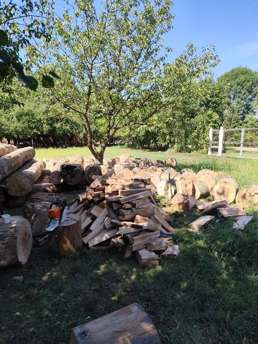 Tai lemne județ Timiș