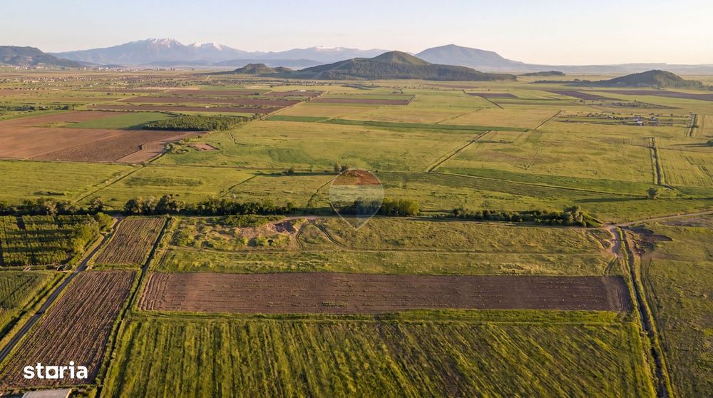 Teren extravilan 44.000 mp (4,4 ha) | Hărman | Comision 0%