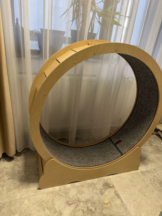 Banda roata alergare pisici. Noua