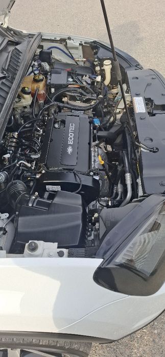 Orlando 2015 2-full pozitsiya lukli