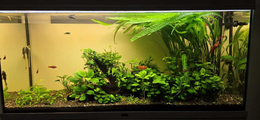 Acvariu complet Aquatlantis 240 litri