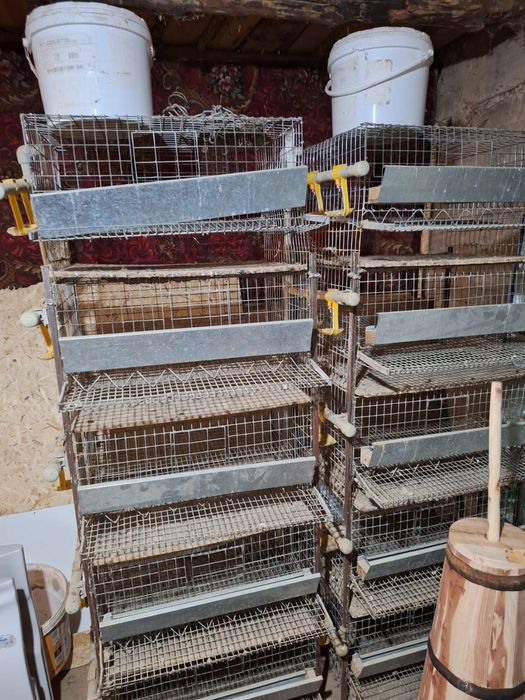 Загон для бо́дене