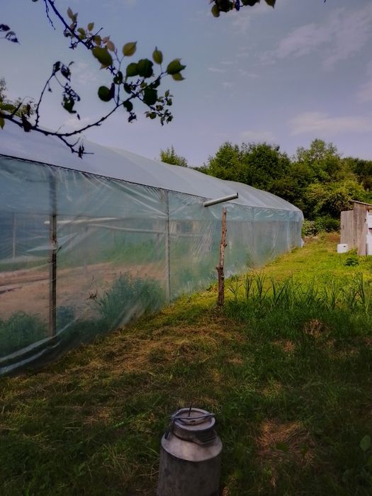 Продаю теплицу срочно без торга
