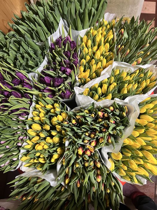 Цветы к 8 марта . Тюльпаны !!!