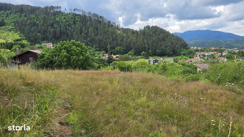 Teren intravilan cu vedere panoramica Sacele, Brasov