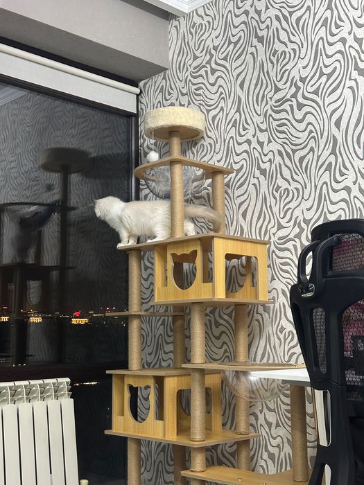 Стойка для кота большая