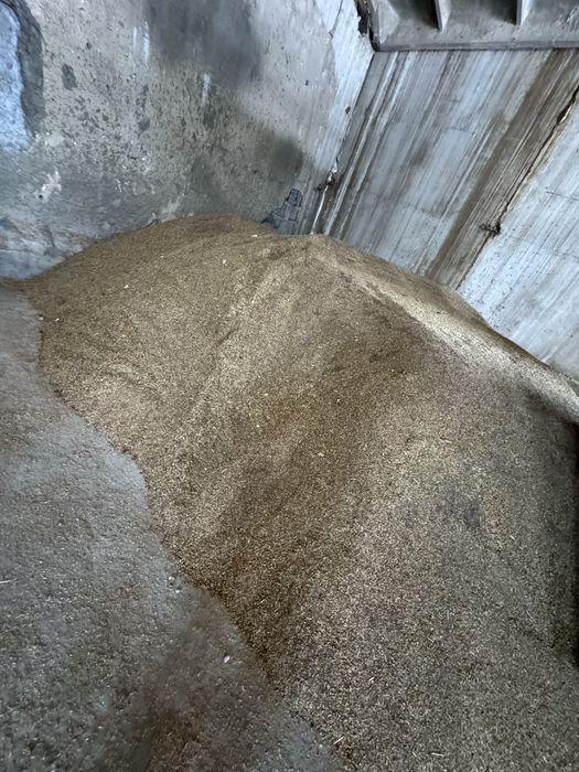 Продам зерноотходы кормосмесь Хорошего качества 60 км от столицы