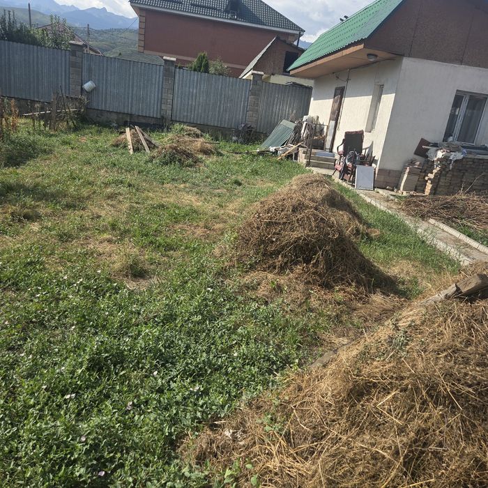 Сено. Разнотравие.