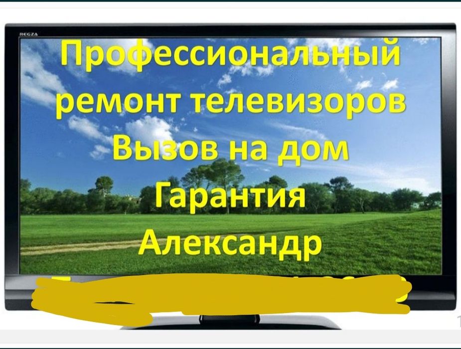 Профессиональный ремонт телевизоров..Вызов на  дом. Александр