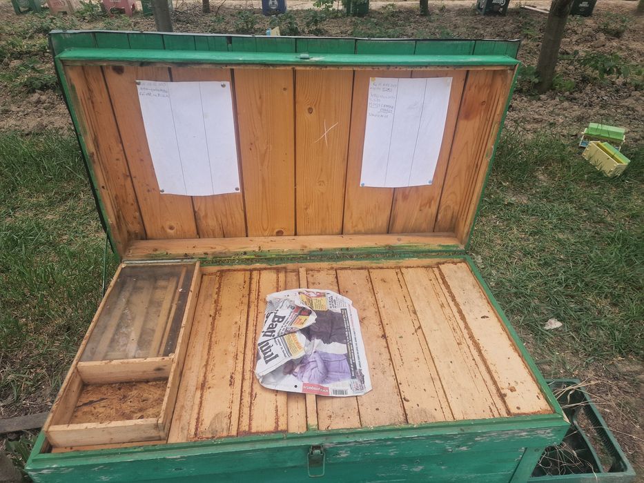 Familii de albine cu ladă dublă