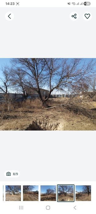 Сабалакта дача сатылады