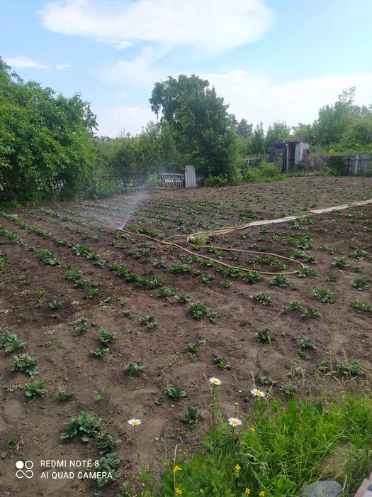 Сдам дачу сад Энтузиаст