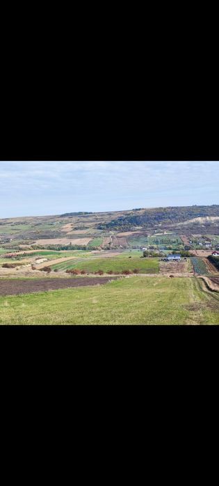 Teren extravilan Dealul Fânațelor