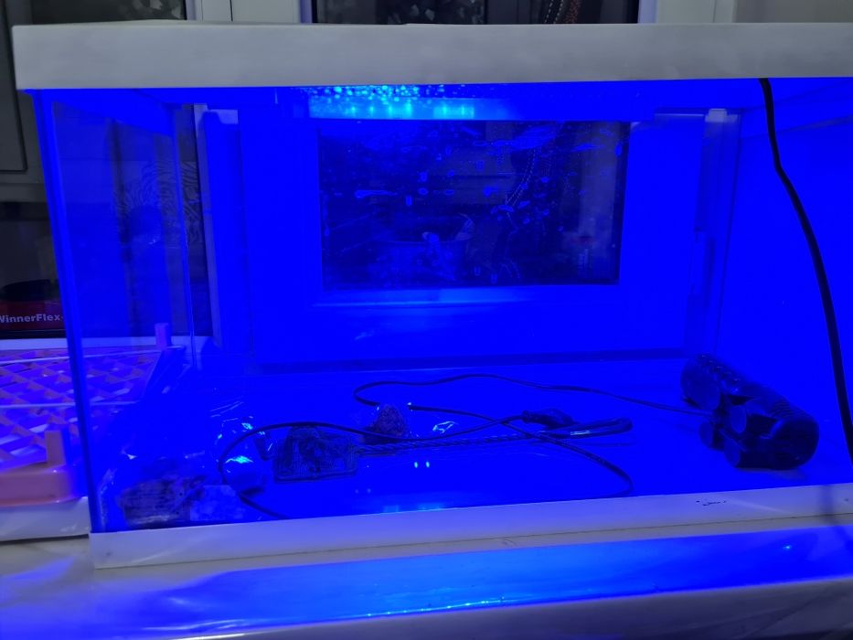 Продам аквариум с декором