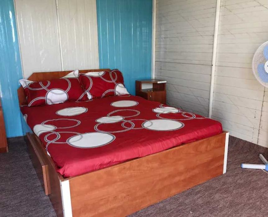 6 casute de inchiriat langa ALEXANDRIA