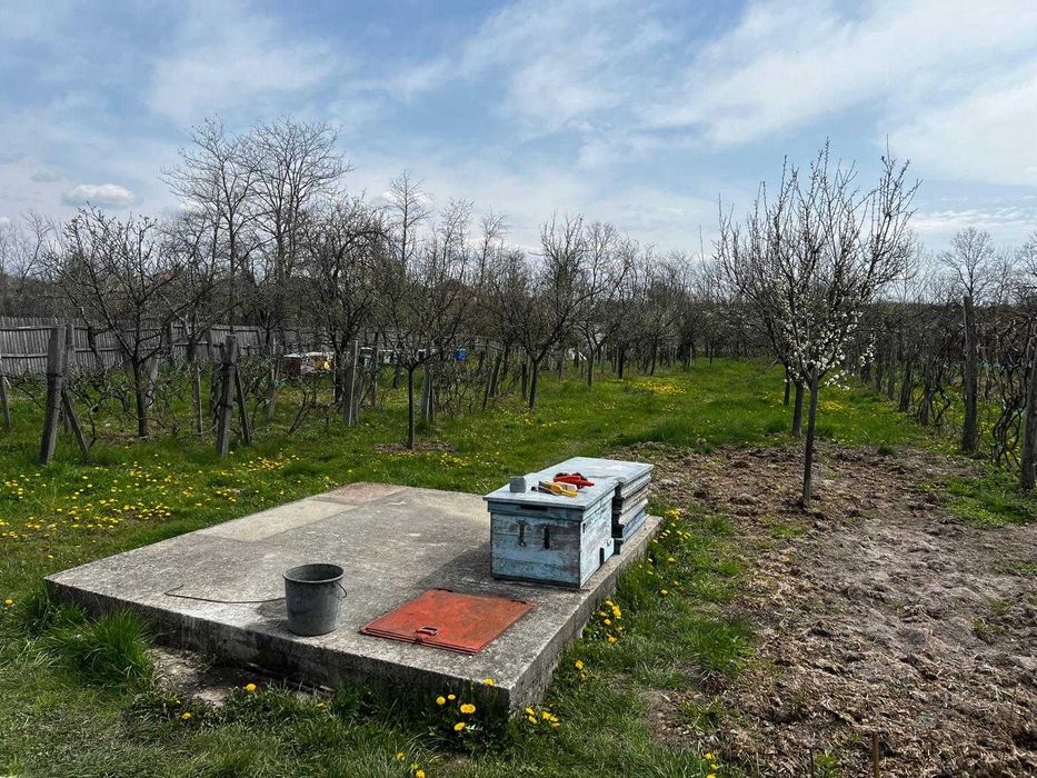 Gospodarie complexa – microferma