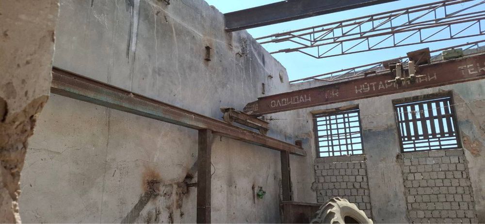 Юк кутаргич талл