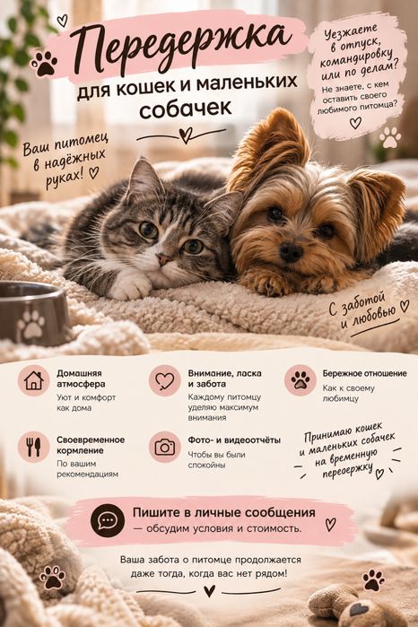 Передержка кошек и собак