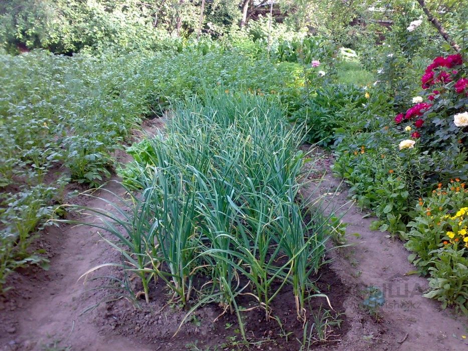 Продам дачу Кок-Лай-Сай