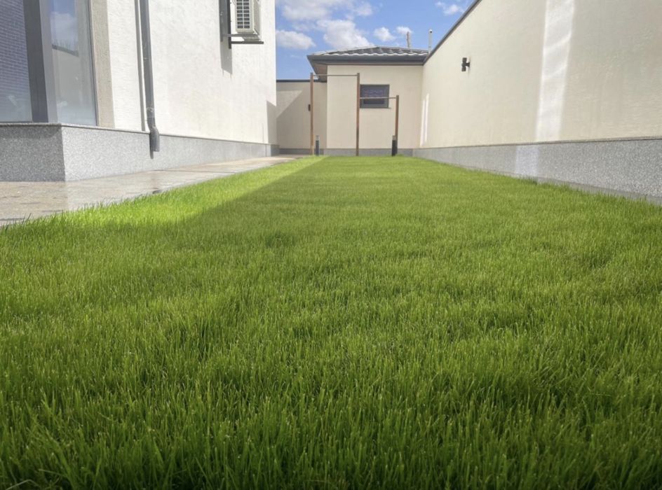 Газон,автополив,полив