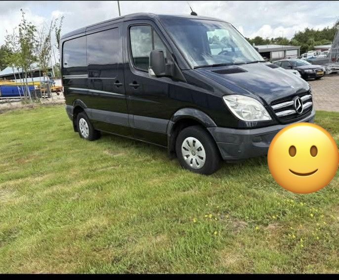 MERCEDES-BENZ Sprinter 2009