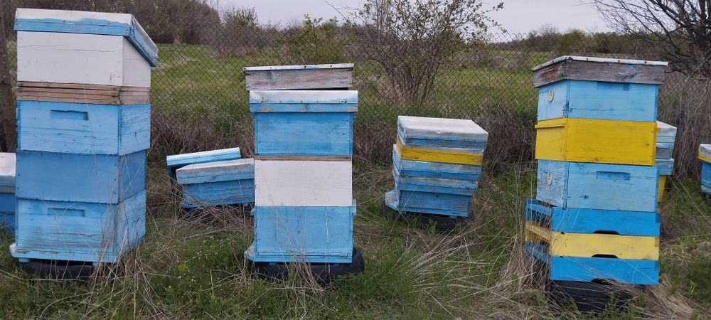 Кошери лр празни