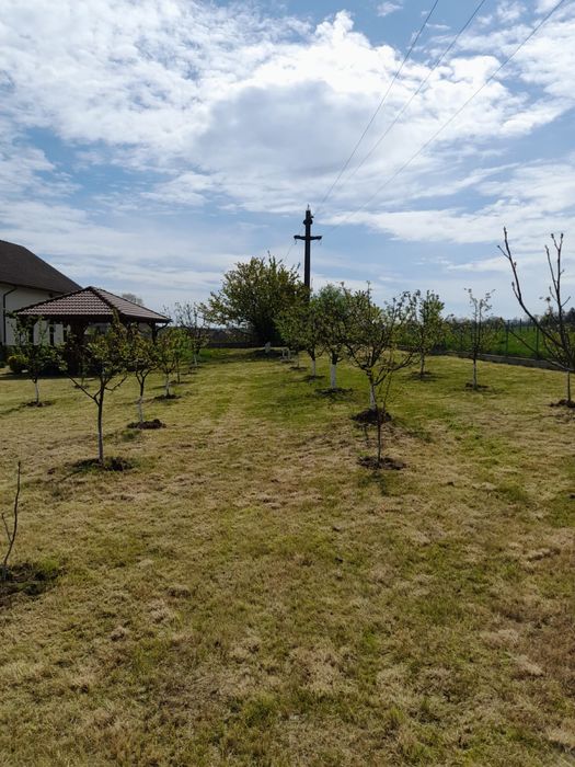 Curatare si defrisari terenuri, amenanjare livezi, garduri etc