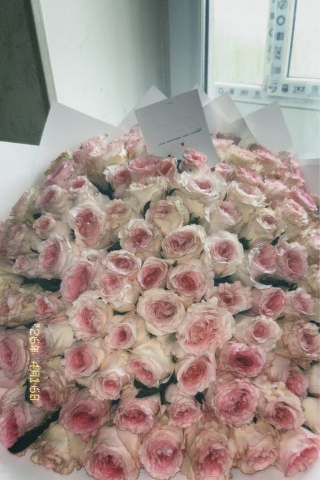 101 роза (запискасымен)