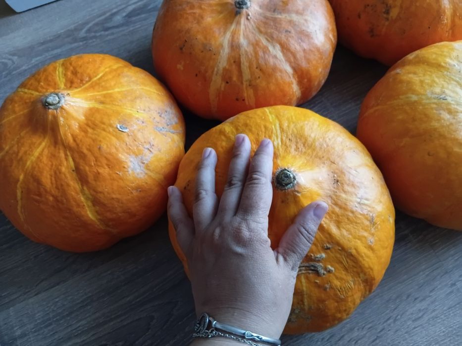 Продам тыкву вкусную