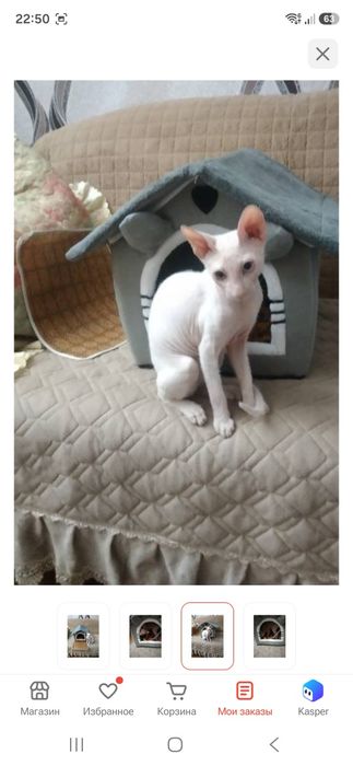 Домик для кошек мягкий