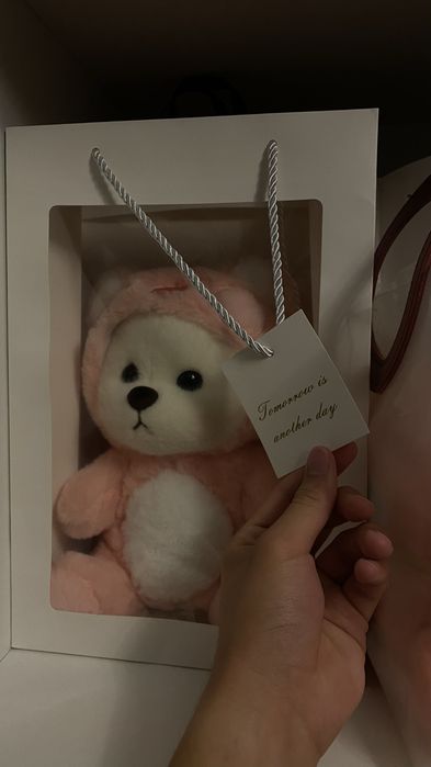 Новые мишки с капюшонами