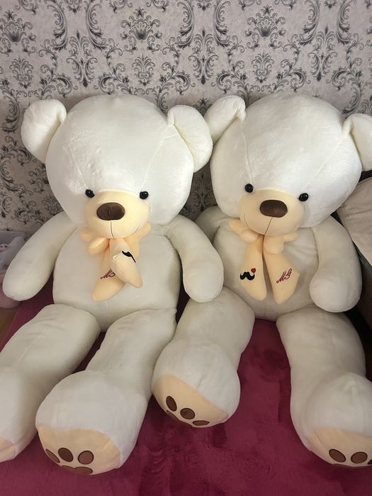 Мишки огромные новый