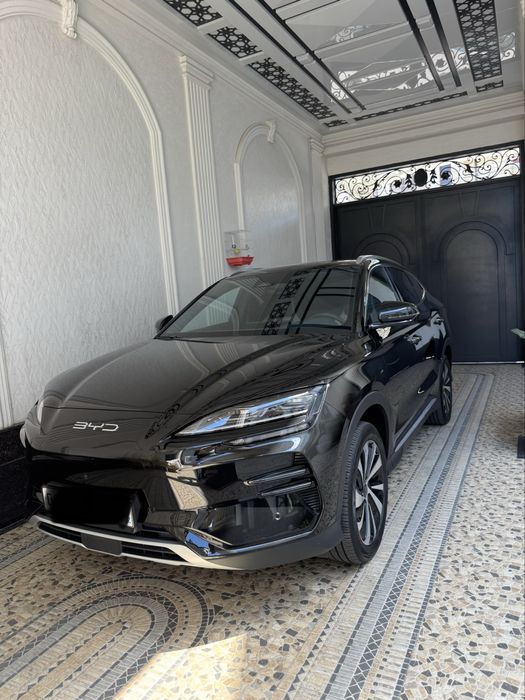 Byd chempion xonor