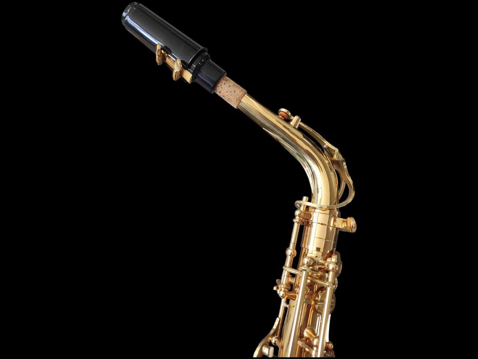 Set Saxofon Alto Parrot ZL118 Auriu