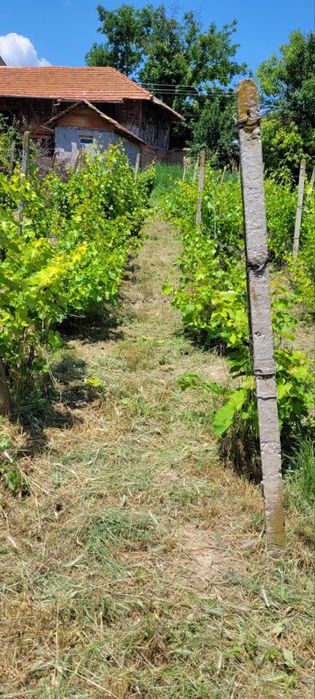 Продава се Къща в с. Осенец, Област Разград - 120 кв.м за 185 €/кв.м - Снимка #7