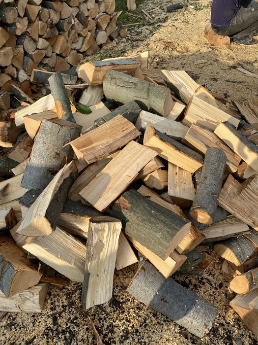 Дърва за огрев от дъб и бук  Безплатен транспорт