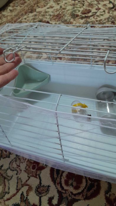 Клетка для грызунов