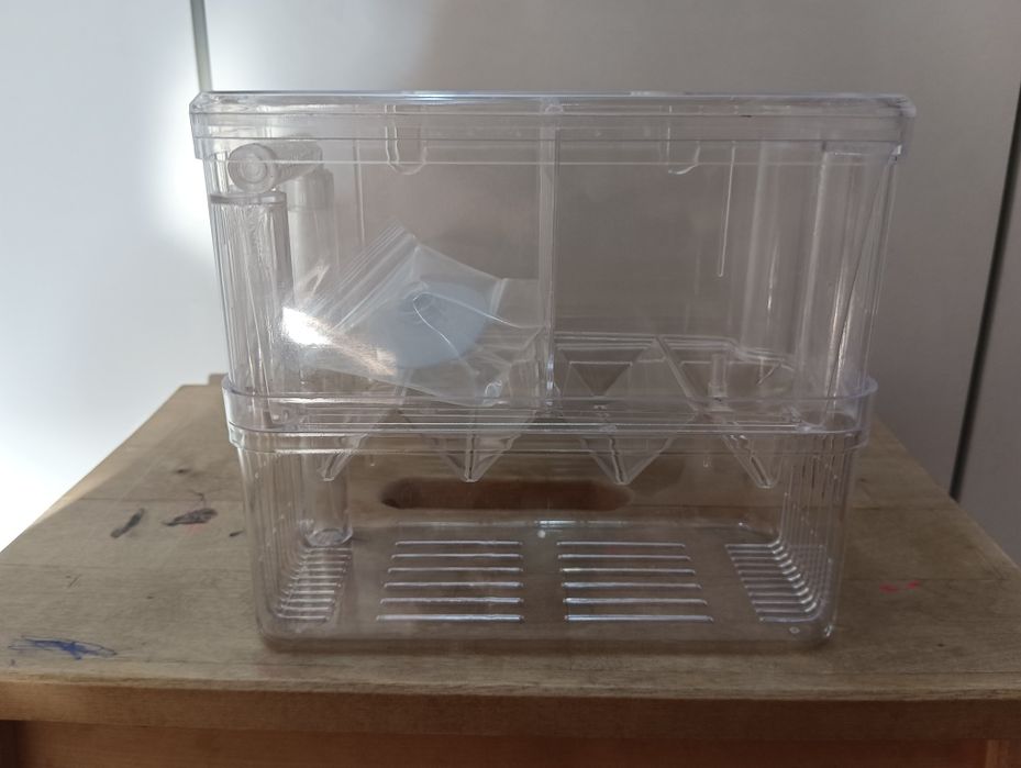 Отсадники для рыбок