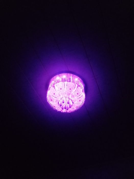 Люистра блутозли музикалний