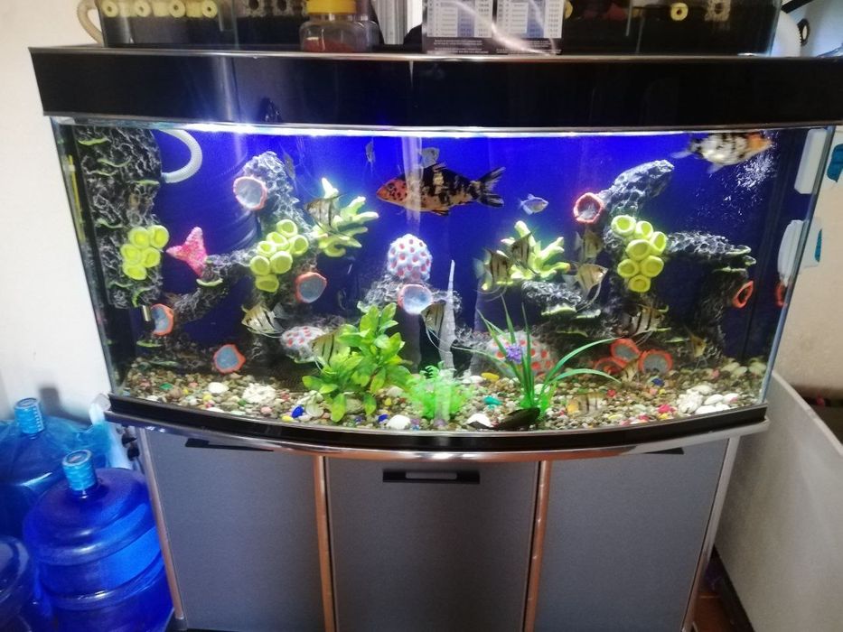 Аквариум сотилади фулл комплект