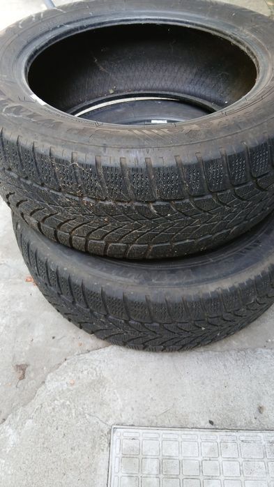 Anvelope iarnă Dunlop