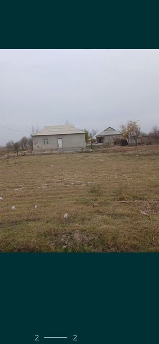 10 Soʻtixli tomorqa