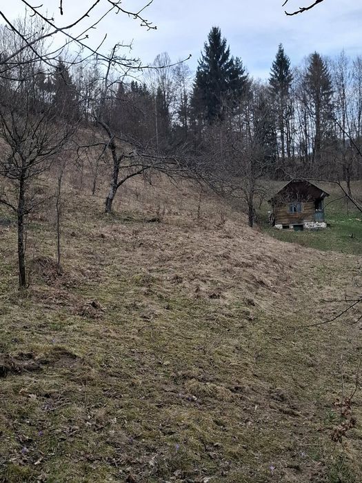 Vând pământ la Valea VISEULUI jud  MARAMUREȘ