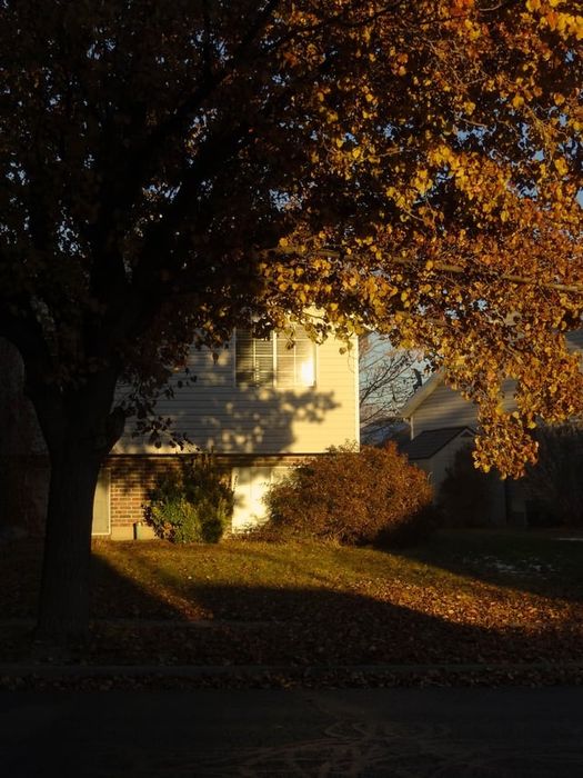 Canon SX160 IS - Дигитален Фотоапарат КАТО НОВ! Пълен Комплект