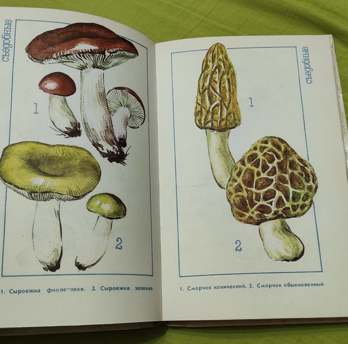 Книга о грибах Казахстана.