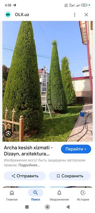 Archa kesish xizmati.