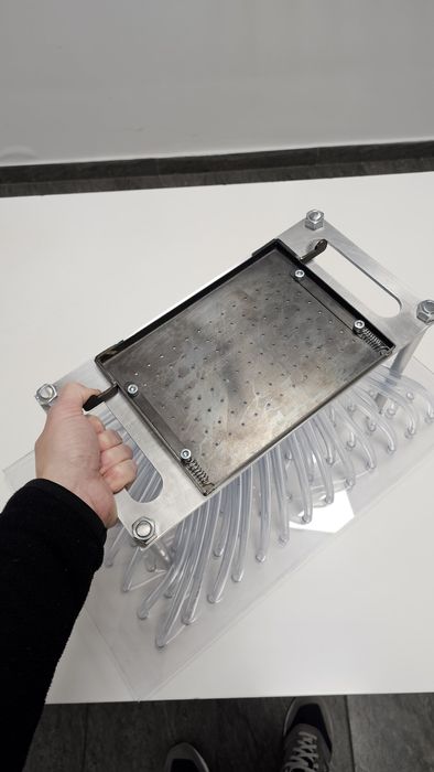 Semanatoare universala legume (varză/conopida/ridiche)pentru alveole